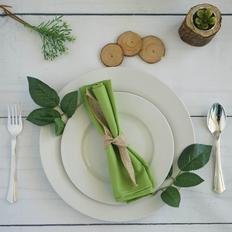 Sage Green Napkin